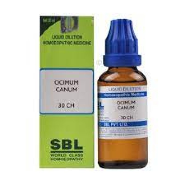 Ocimum Canum